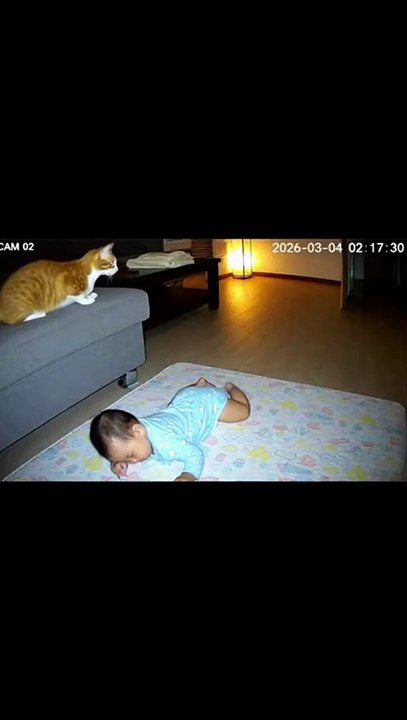 Funny Video