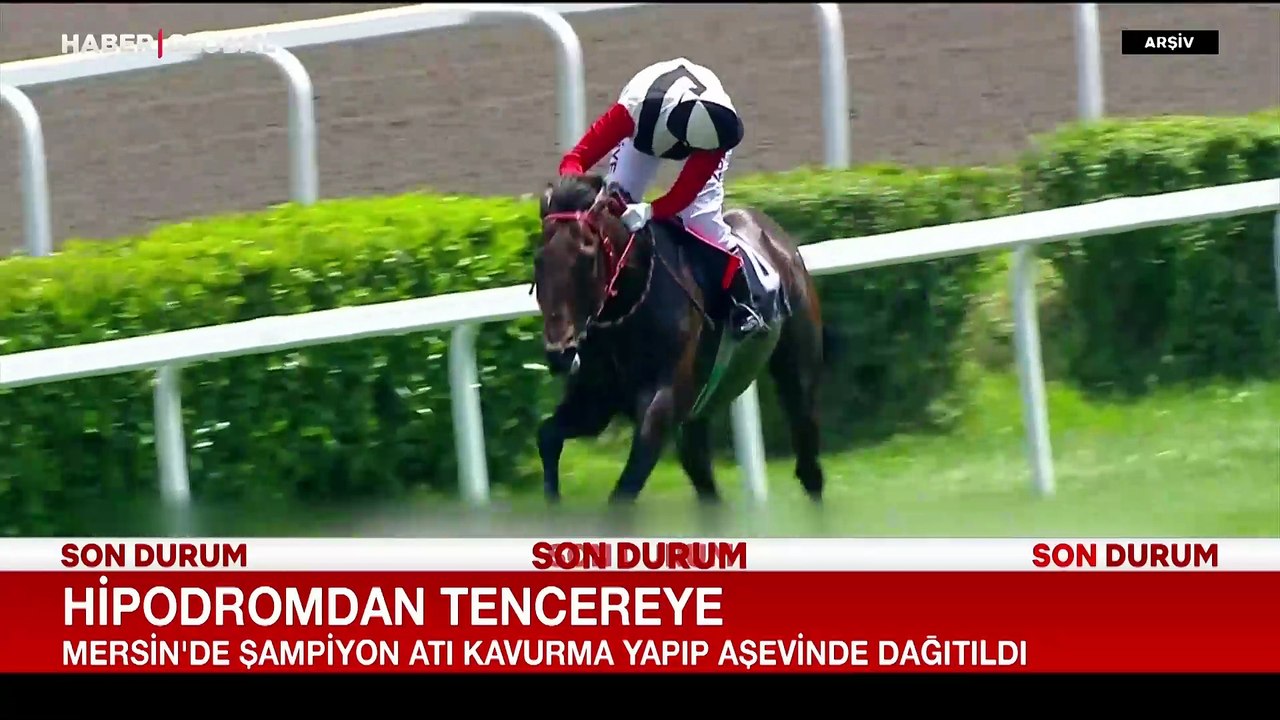 Mersin'de skandal olay: Yarış atı kavurma oldu, aşevinde dağıltıldı