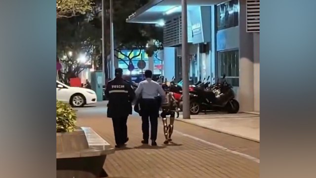 Dünya tarihinde bir ilk! Çin'de yaşlı kadını korkutan robot gözaltına alındı