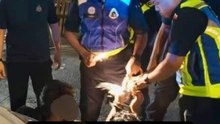 Auxiliary cops nab four over suspected cable theft in KL