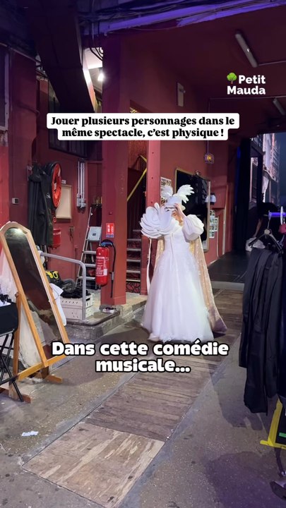 Monte-Cristo le spectacle musical, je recommande !