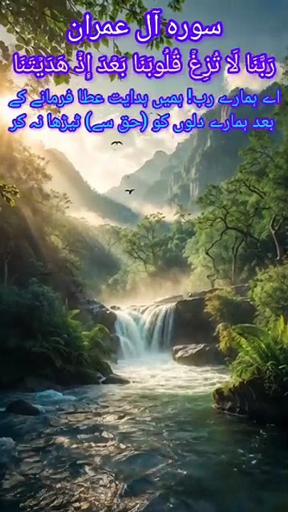 Beautiful Recitation from the Holy Quran That Calms the Heart