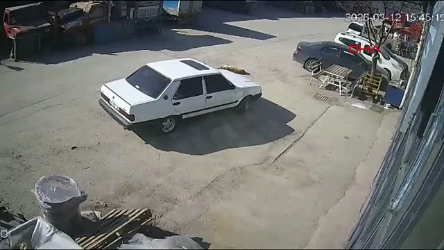 Bolu'da vicdanları sızlatan olay! Göz göre göre ezip geçti