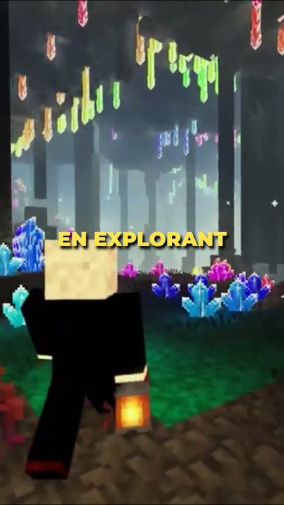 13 TRUCS QU'ON FAIT TOUS DANS MINECRAFT !