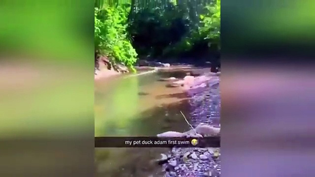 Funny Videos Part 44