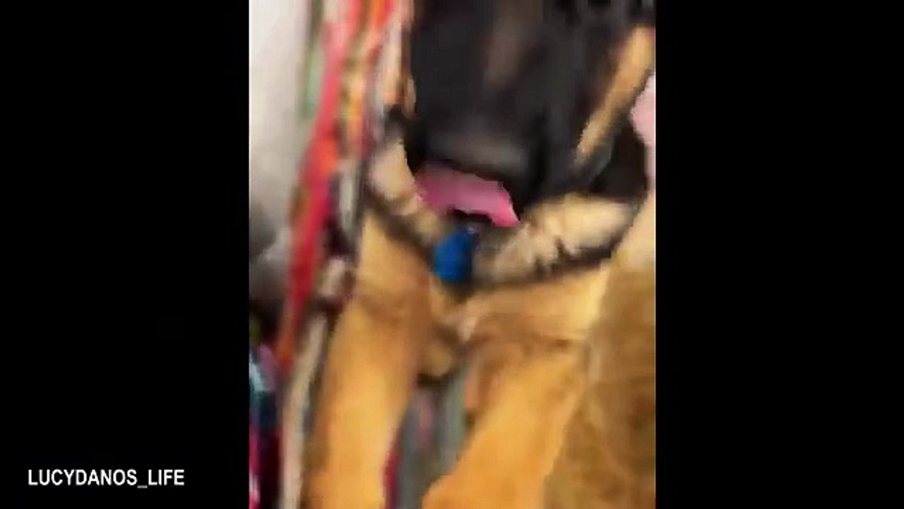 Funny Videos Part 49