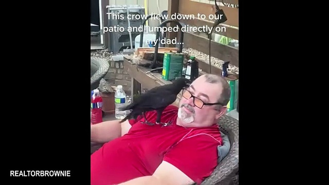 Funny Videos Part 51