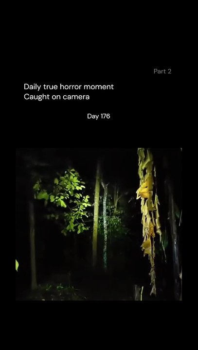 Horror Stories