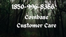 [ [O^fficial]] Coinbase Support®️ Toll Free™️ Usa Contact Numbers In USA: Updated Guide