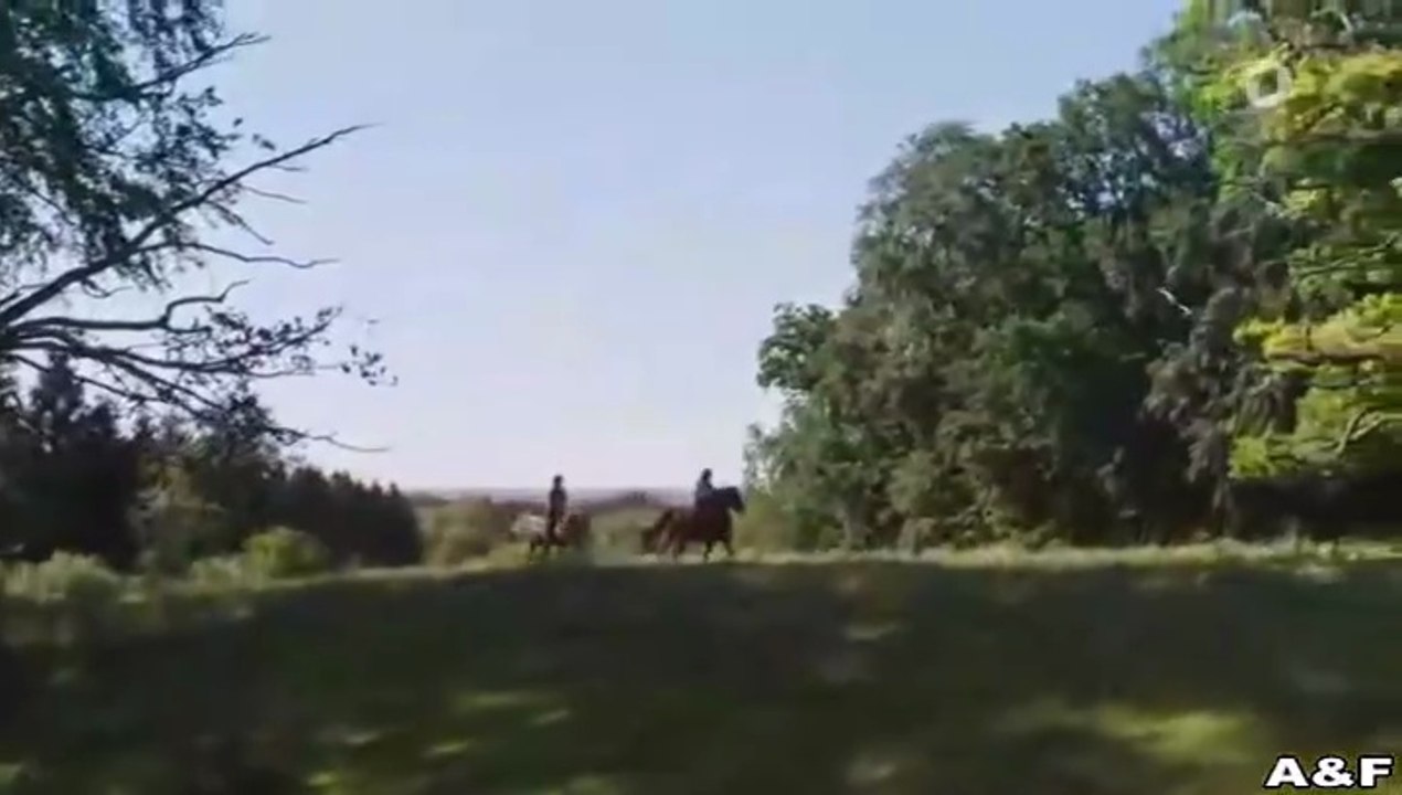 Reiterhof Wildenstein -05- Jacomo und der Wolf