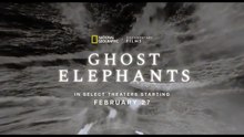 Ghost Elephants | Werner Herzog | Trailer (VOSE) | D’A 2026