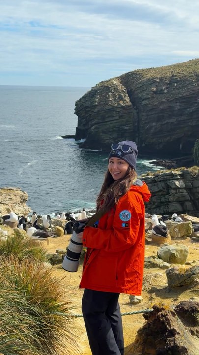 Discover the Incredible Wildlife of the Falkland Islands