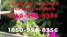 Resolve-VeRiFiEd-Issues Quickly {Coinbase}- Customer-Care-Toll-Free-Sup_port-Number