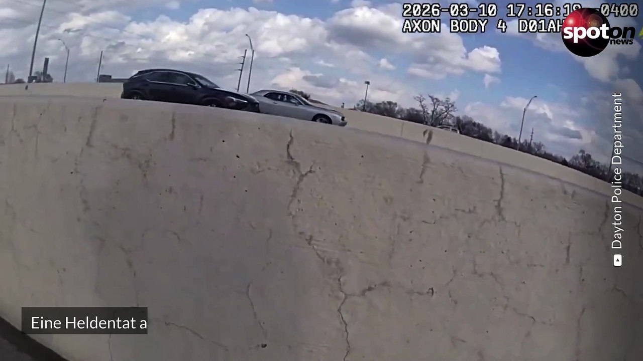 Polizist rettet verletzte Katze von Autobahn