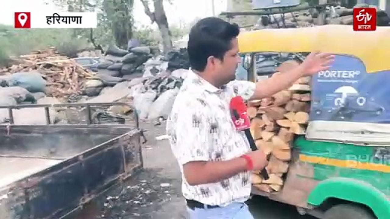 LPG किल्लत के बीच हरियाणा में बढ़ी वैकल्पिक ईंधन की मांग, लकड़ी और कोयले के कारोबार में 30% की बढ़ोतरी
