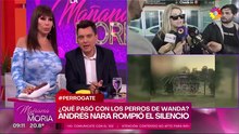 Filtraron un video de los perros de Wanda Nara en el canil de su casa