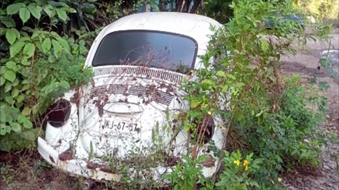 Denuncian autos abandonados cerca de kínder en Magisterio | CPS Noticias Puerto Vallarta