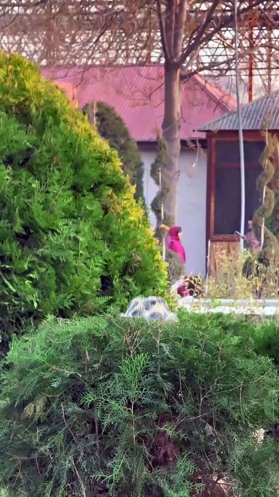 Old man Street workout Prank 25kg Cane 😟