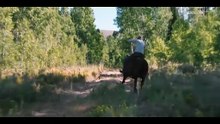 Marshals: A Yellowstone Story - Trailer italiano dello spinoff di Yellowstone con Luke Grimes