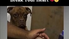 She can’t speak, but her tears say everything 😞 #viral