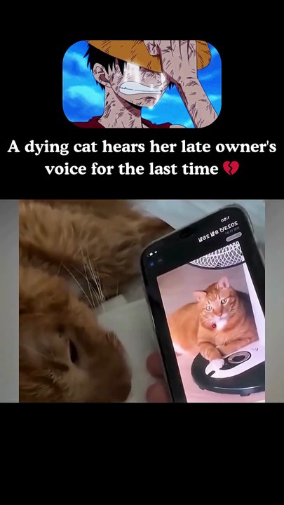 I’m not crying, you are 😭 #viral