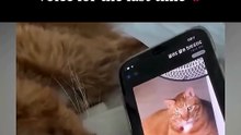 I’m not crying, you are 😭 #viral