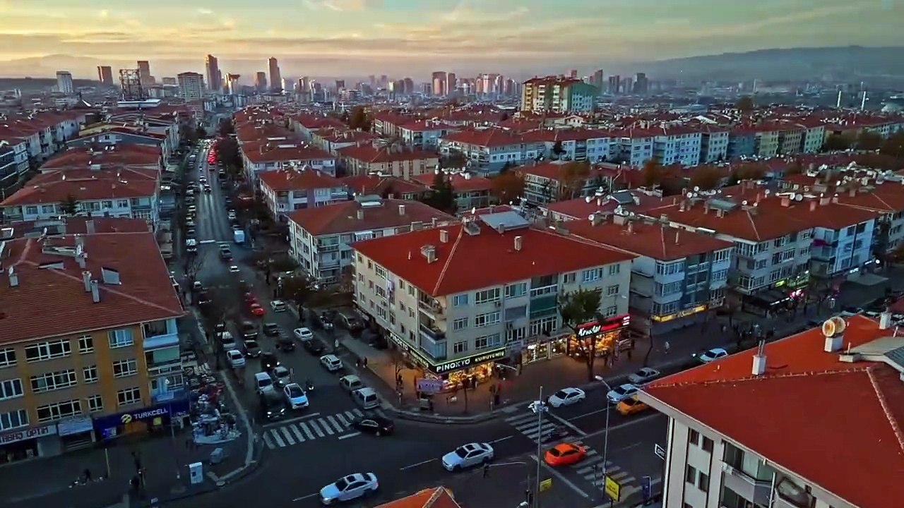 Avukat Ece Çam