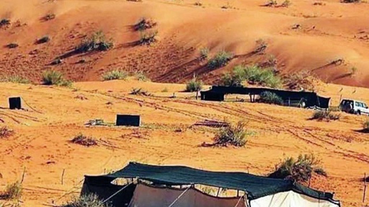 قصة ساجر الرفدي – فارس من البادية