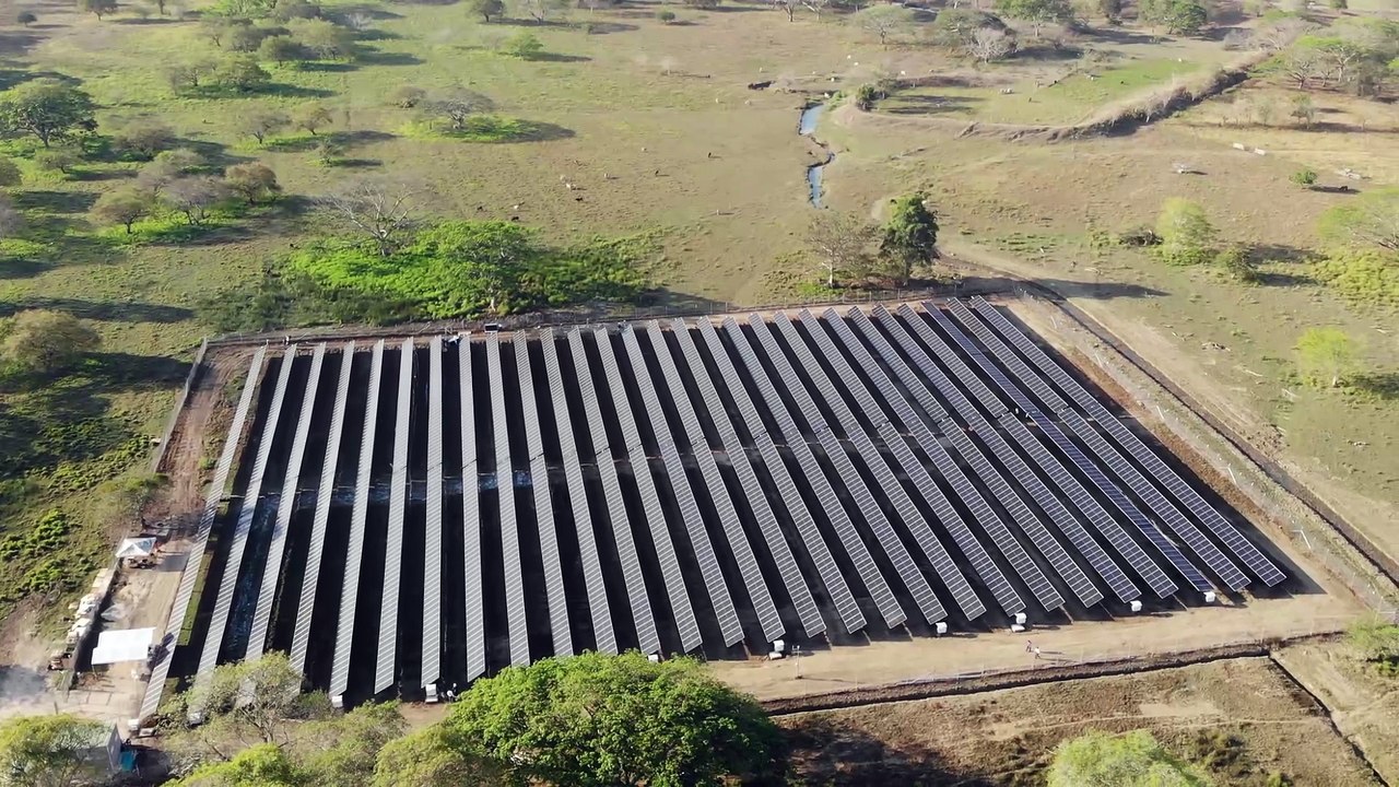 Las minigranjas solares que ya generan energía para miles de hogares en Colombia 