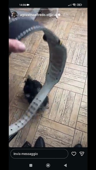 Agozzino Alfredo story con il piccolo zaky