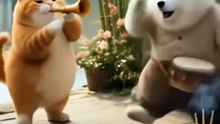 Animated Cat Cartoons