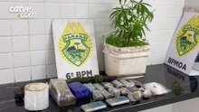 ROCAM apreende 1,8 kg de maconha, pé da planta e arma artesanal em Cascavel