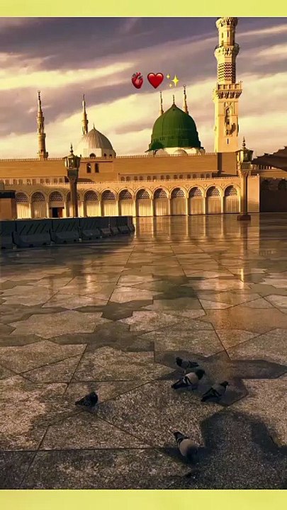 Inshallah 🙏❣️