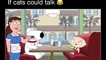 Family Guy Cats vs. Brian | Hilarious Nine Lives Meme 🐾