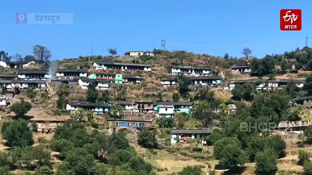 उत्तराखंड में सर्दियों में बढ़ जाता है बाघों पर खतरा! NTCA के आंकड़ों ने खोला बड़ा राज