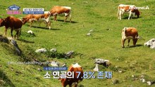 있었는데 없습니다!? 관절 건강을 사수하기 위한 콘드로이친 종류별 특징