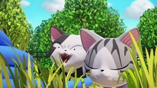 🐱 Chi's Sweet Cat Adventure's Episode 50 ⧸ English Dubbed | Aspix Official 🍿✨🐾