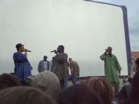 Concert de banlieue ( Roissy en brie 1er juin 2008 )