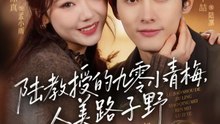 陆教授的九零小青梅，人美路子野 41-80（80集）千喆&徐真