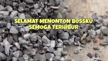 Cerai! Ternyata Aku Bos Aslimu - Episode Lengkap