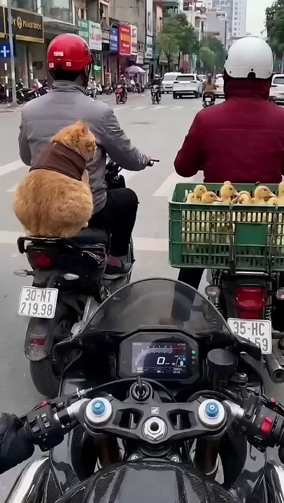 Wait for it