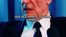 La meditación fortalece tu capacidad para afrontar retos.