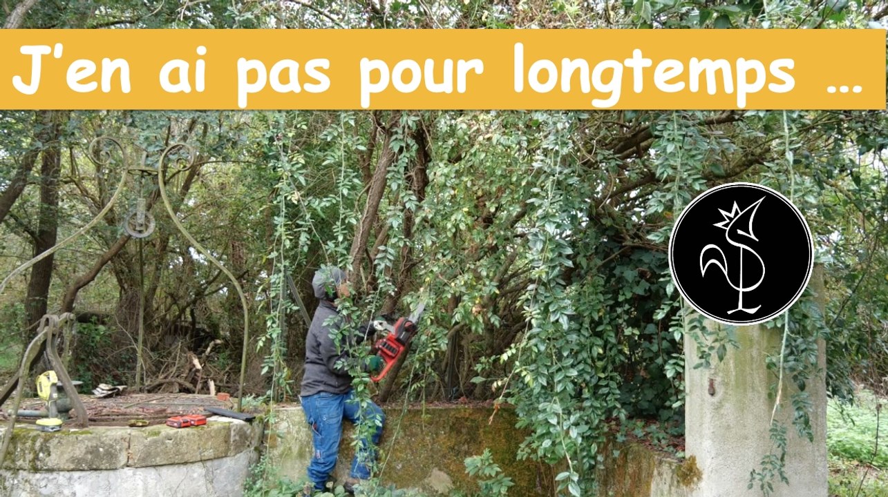 Coment jardiner dans la jungle