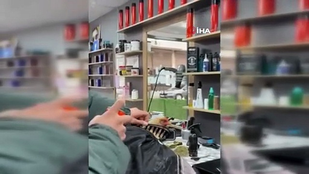 Siirt'te bir kuaför tavuk tıraş edip bayrama hazırladı