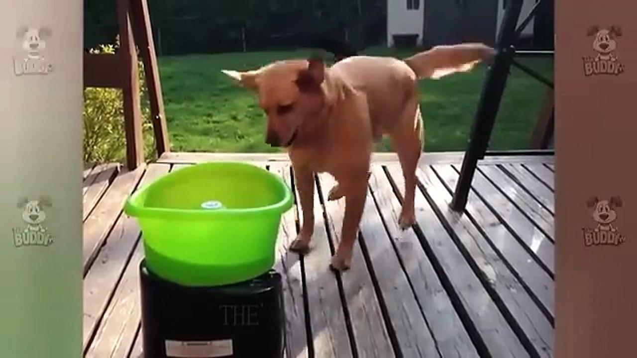 Funny Videos Part 61