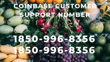 ✩ 1️⃣[8️⃣5️⃣0️⃣]⇀9️⃣9️⃣6️⃣-8356 Complete™ List of Coinbase Ⓝ CUSTOMER© Care℗ (Toll Free Number Support]