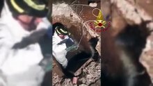 Teddy bloccato in un cunicolo: salvato dopo lungo intervento da Vigili del fuoco | VIDEO |