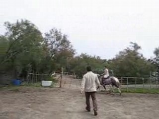 Tonerre le petit poney