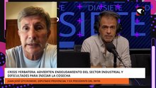 Crisis yerbatera endeudamiento del sector industrial y dificultades para iniciar la cosecha