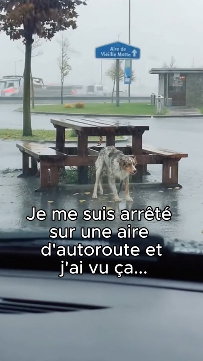 Il a été abandonné sur une aire d’autoroute